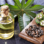 Castor Oil for Hair Everything you need to know + Best Products